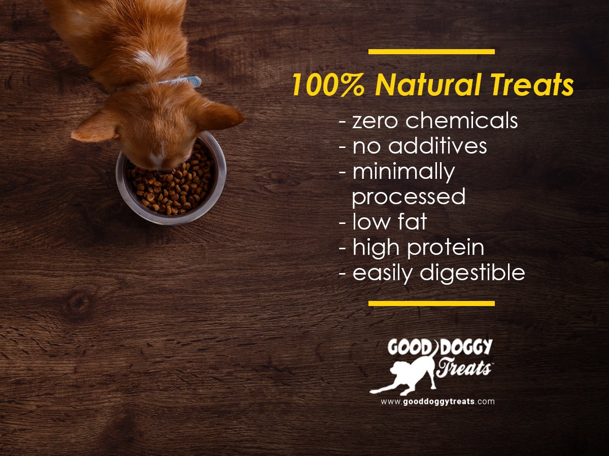 Bulk Grain Free Dog Treats | Puppy & Training | Good Doggy Treats®